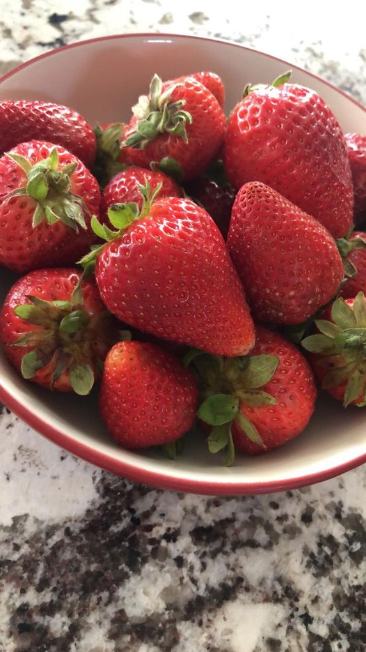 101431320_688114411764644_8656830490046627840_n