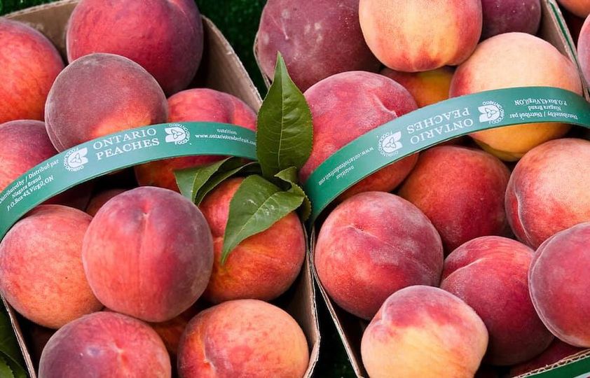 116464954_727075331201885_2779833122306656188_n