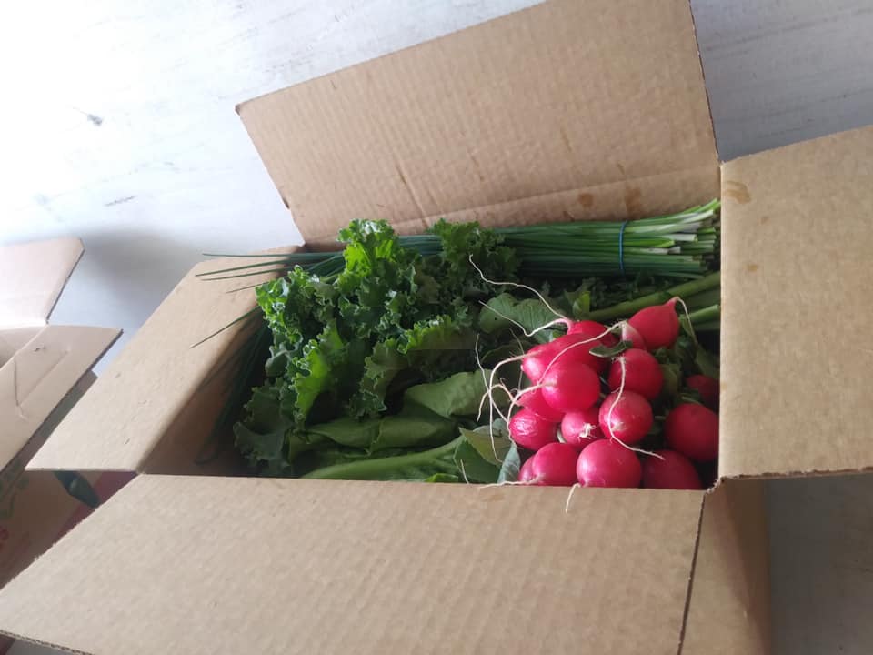 117715423_733706483872103_7371854180099499616_n