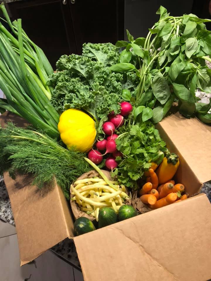 117717919_737010430208375_9029142314295673554_n